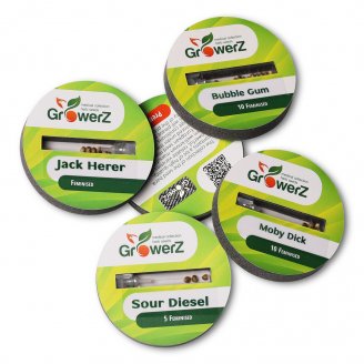 Семена конопли купить сорт Moby Dick Fem.