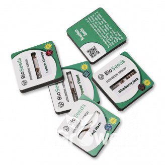 Dos-Wi-Dos Auto Fem.