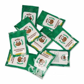 Orange Bud Auto Fem.