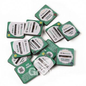 Amnesia Haze Auto Reg.