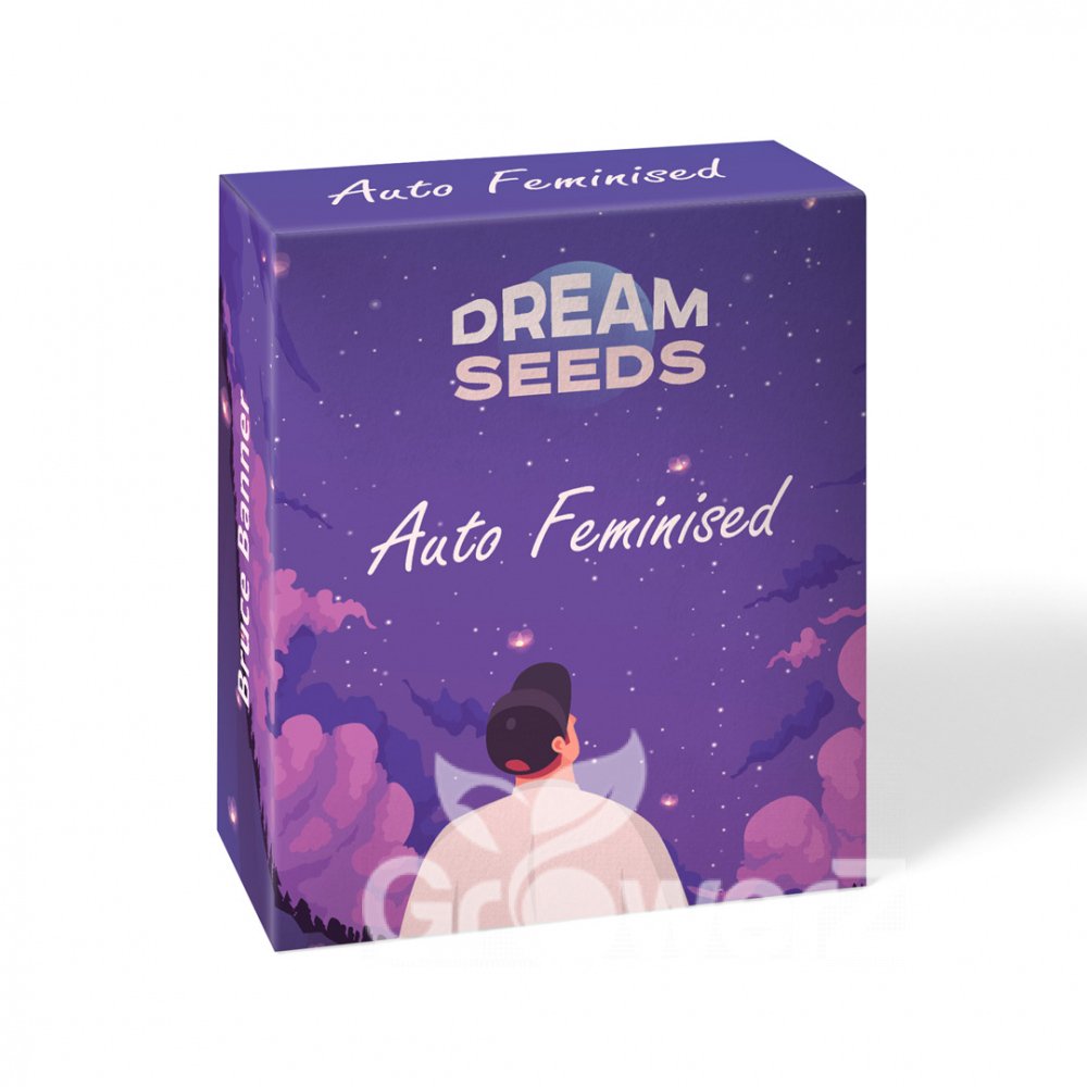 Bruce Banner # Auto Fem.